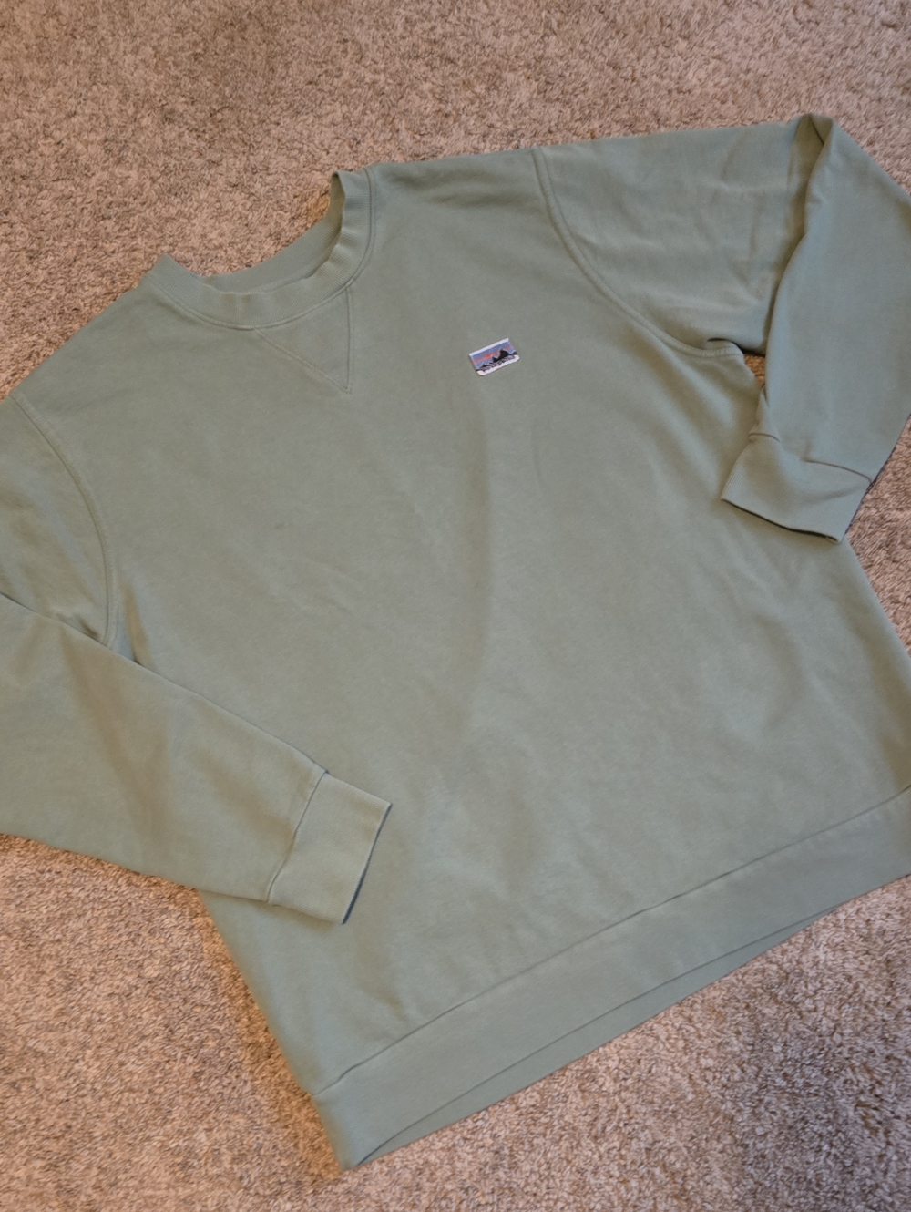 Patagonia Sweatshirt